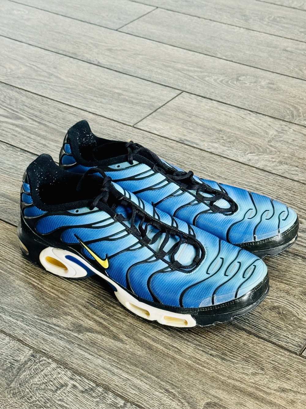 Nike Air Max Plus - OG